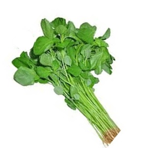 ডাটা শাক